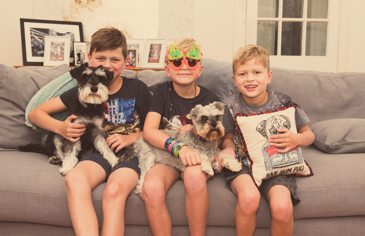 Three very boisterous boys and two gorgeous dogs.